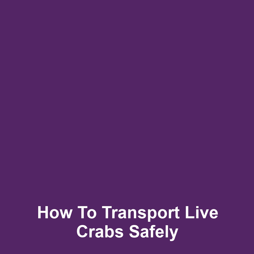 How to Transport Live Crabs Safely