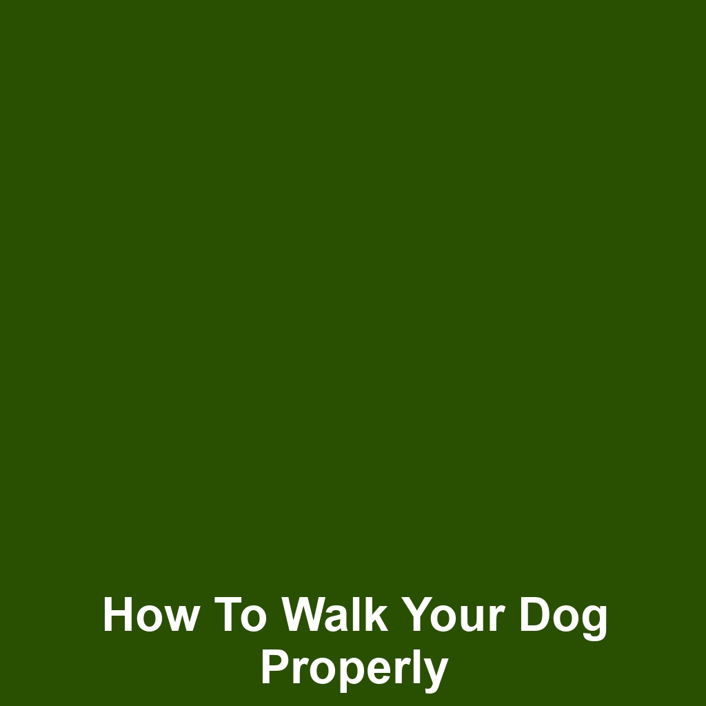 How to Walk Your Dog Properly