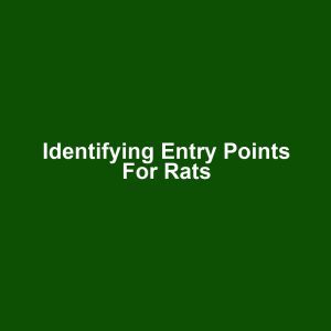 Identifying Entry Points for Rats