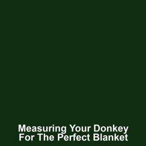 Measuring Your Donkey for the Perfect Blanket