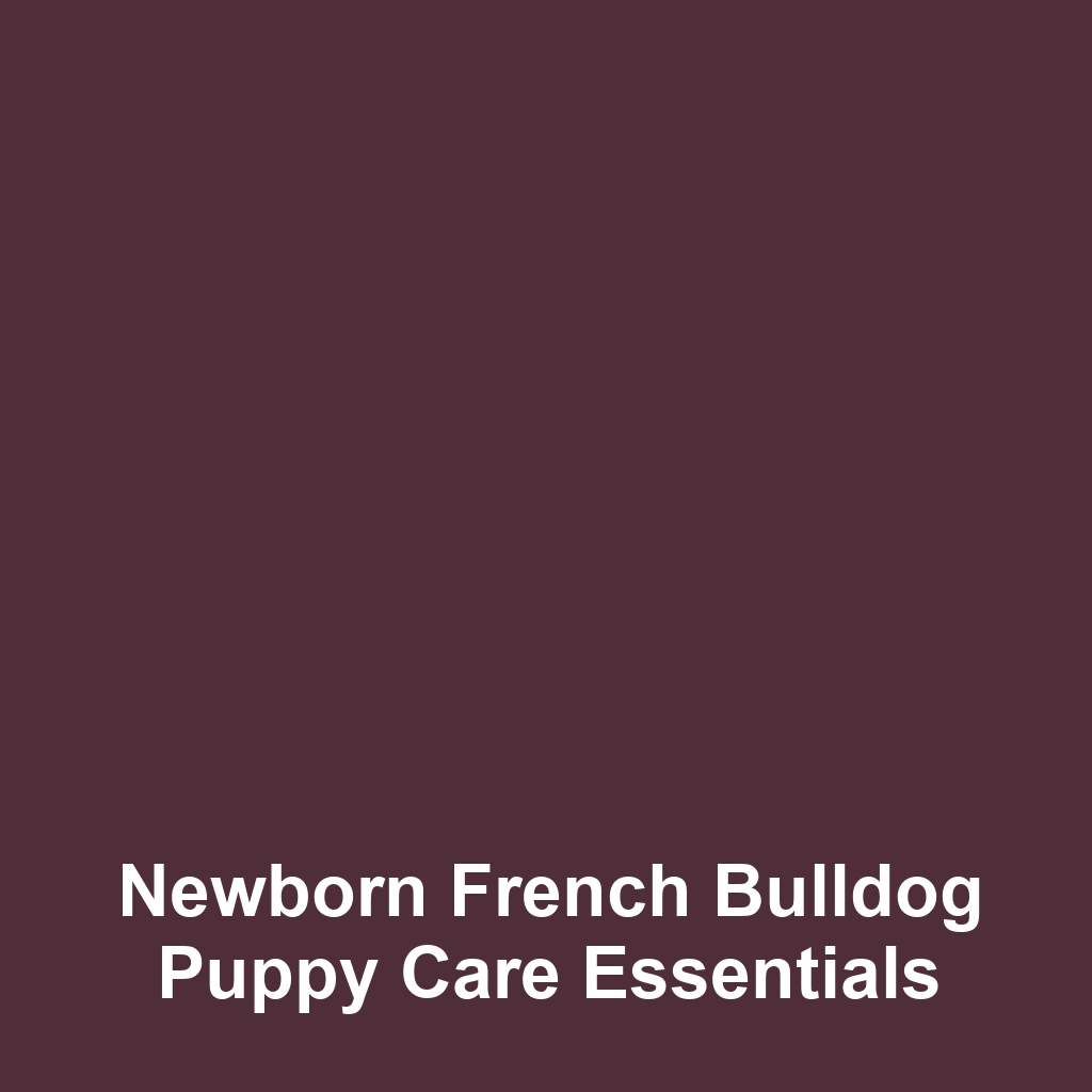 Newborn French Bulldog Puppy Care Essentials