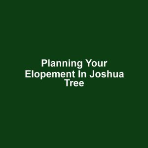 Planning Your Elopement in Joshua Tree