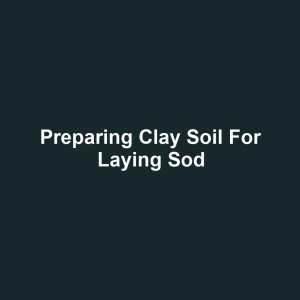 Preparing Clay Soil for Laying Sod