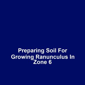 Preparing Soil for Growing Ranunculus in Zone 6