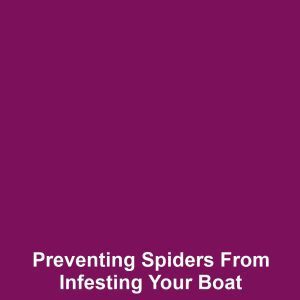 Preventing spiders from infesting your boat