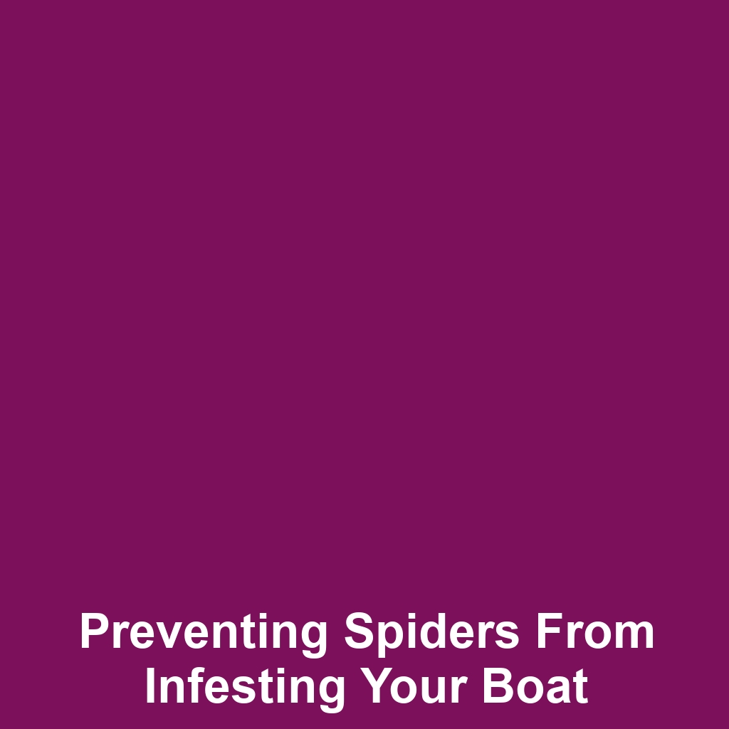 Preventing spiders from infesting your boat