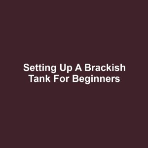 Setting Up a Brackish Tank for Beginners