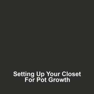 Setting Up Your Closet for Pot Growth