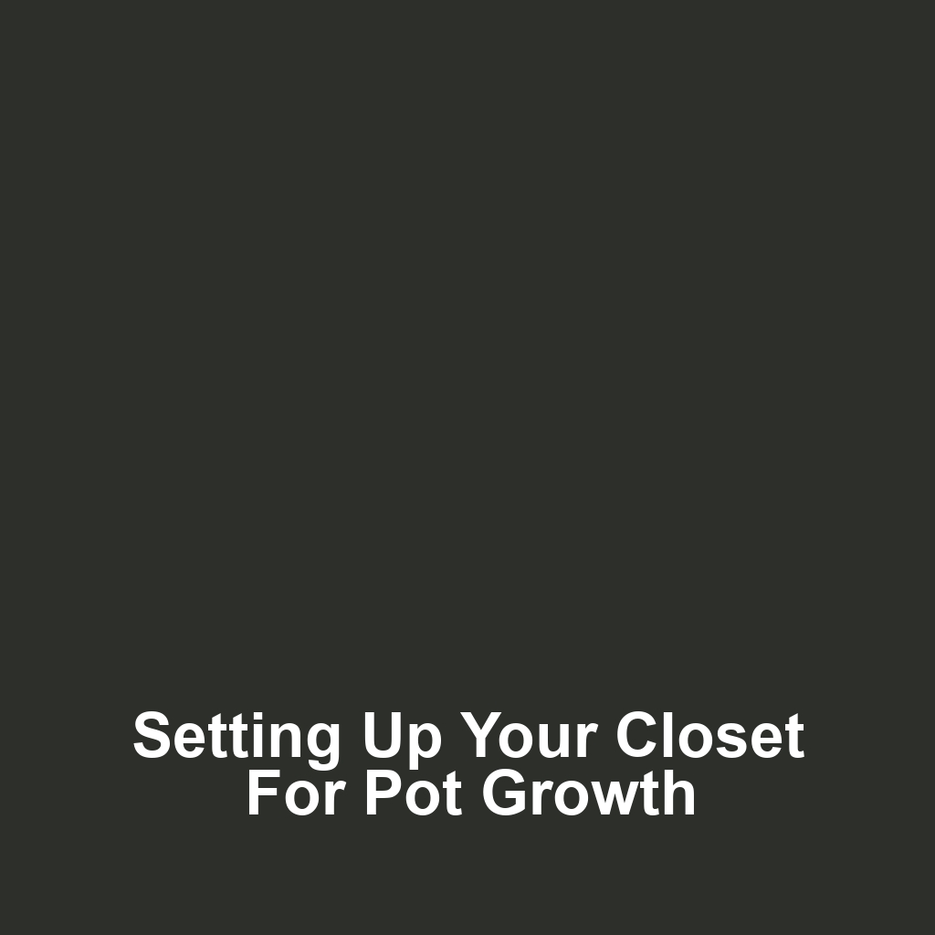 Setting Up Your Closet for Pot Growth