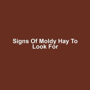 Signs of Moldy Hay to Look For