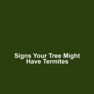 Signs Your Tree Might Have Termites