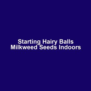 Starting Hairy Balls Milkweed Seeds Indoors