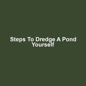 Steps to Dredge a Pond Yourself