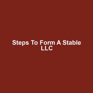 Steps to Form a Stable LLC