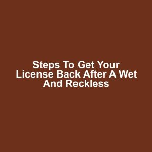 Steps to Get Your License Back After a Wet and Reckless