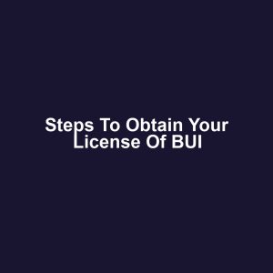 Steps to Obtain Your License of BUI