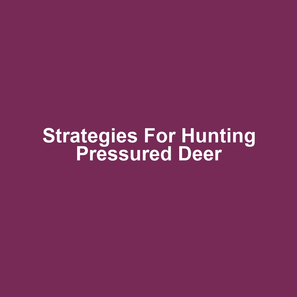 Strategies for Hunting Pressured Deer