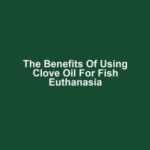 The Benefits of Using Clove Oil for Fish Euthanasia