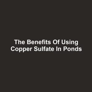 The Benefits of Using Copper Sulfate in Ponds