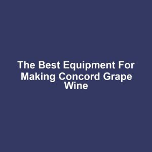 The Best Equipment for Making Concord Grape Wine