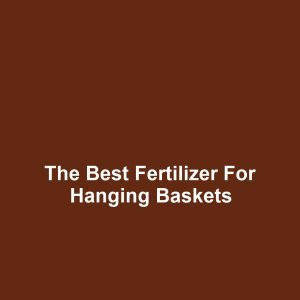 The Best Fertilizer for Hanging Baskets
