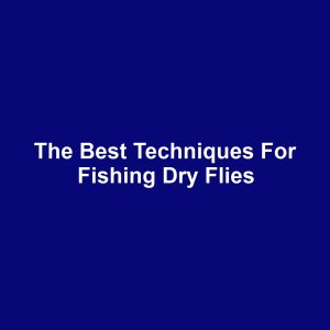 The Best Techniques for Fishing Dry Flies