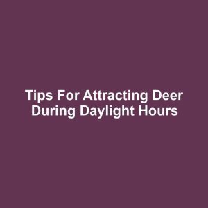 Tips for Attracting Deer During Daylight Hours