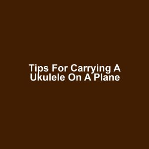 Tips for Carrying a Ukulele on a Plane