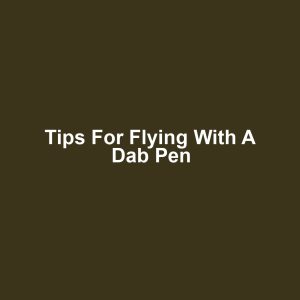 Tips for flying with a dab pen