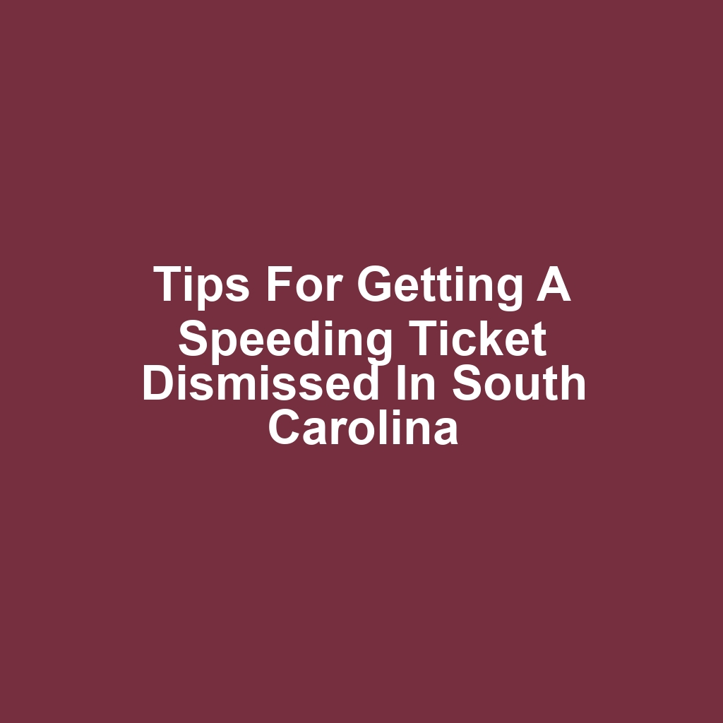 Tips for Getting a Speeding Ticket Dismissed in South Carolina