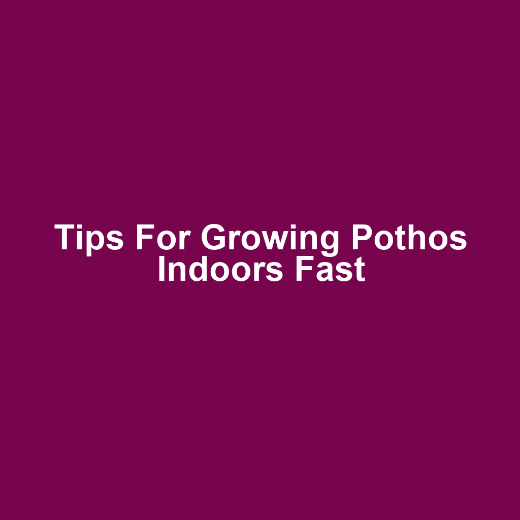 Tips for Growing Pothos Indoors Fast