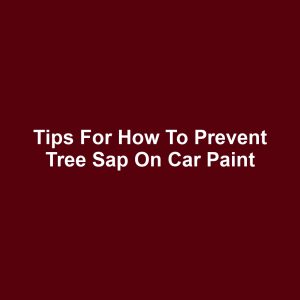 Tips for How to Prevent Tree Sap on Car Paint