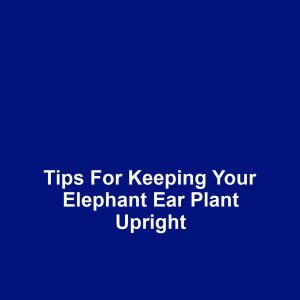 Tips for Keeping Your Elephant Ear Plant Upright
