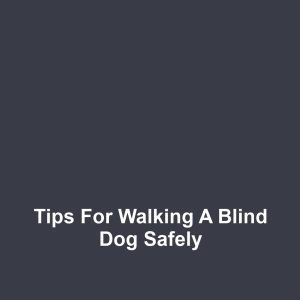 Tips for Walking a Blind Dog Safely
