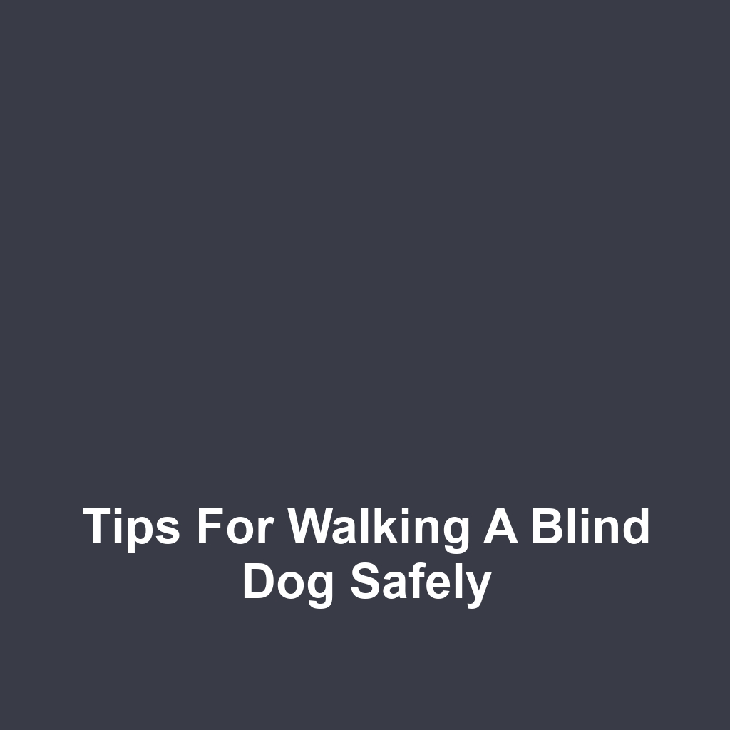 Tips for Walking a Blind Dog Safely
