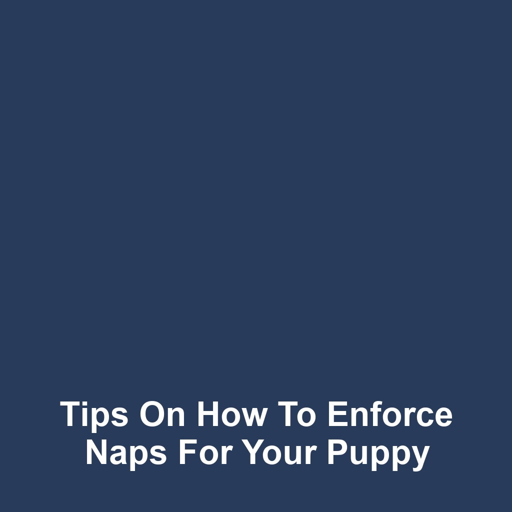 Tips on How to Enforce Naps for Your Puppy
