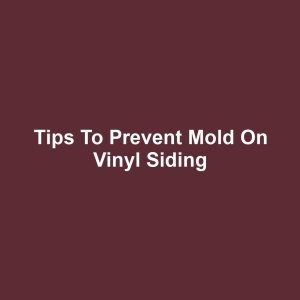 Tips to Prevent Mold on Vinyl Siding