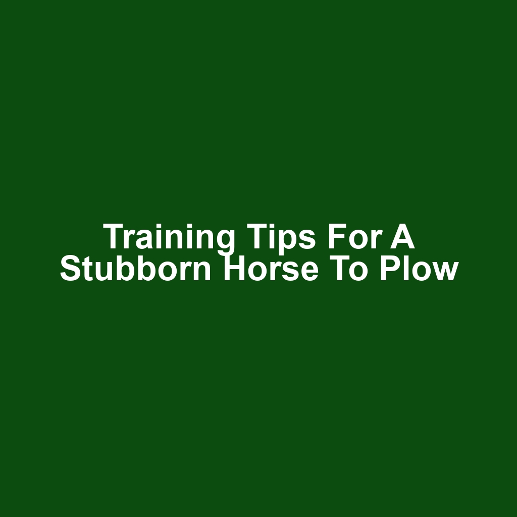 Training Tips for a Stubborn Horse to Plow