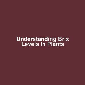 Understanding Brix Levels in Plants