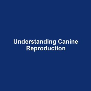 Understanding Canine Reproduction