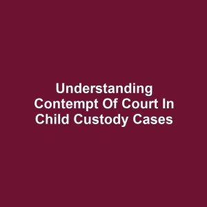 Understanding Contempt of Court in Child Custody Cases