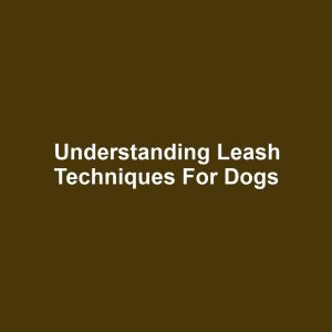 Understanding Leash Techniques for Dogs