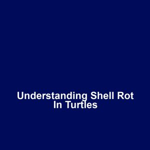 Understanding Shell Rot in Turtles