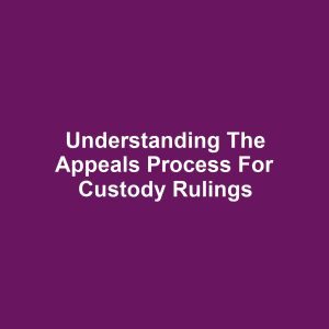 Understanding the Appeals Process for Custody Rulings