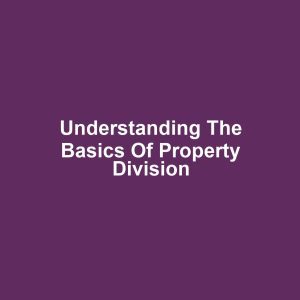 Understanding the Basics of Property Division