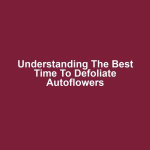 Understanding the Best Time to Defoliate Autoflowers