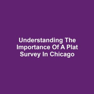 Understanding the Importance of a Plat Survey in Chicago