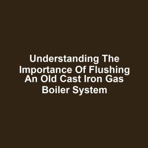 Understanding the Importance of Flushing an Old Cast Iron Gas Boiler System