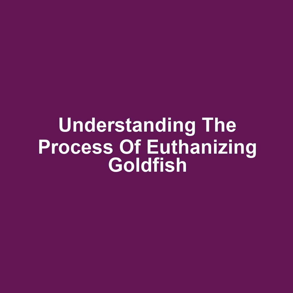 Understanding the Process of Euthanizing Goldfish