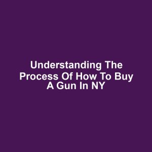 Understanding the Process of How to Buy a Gun in NY
